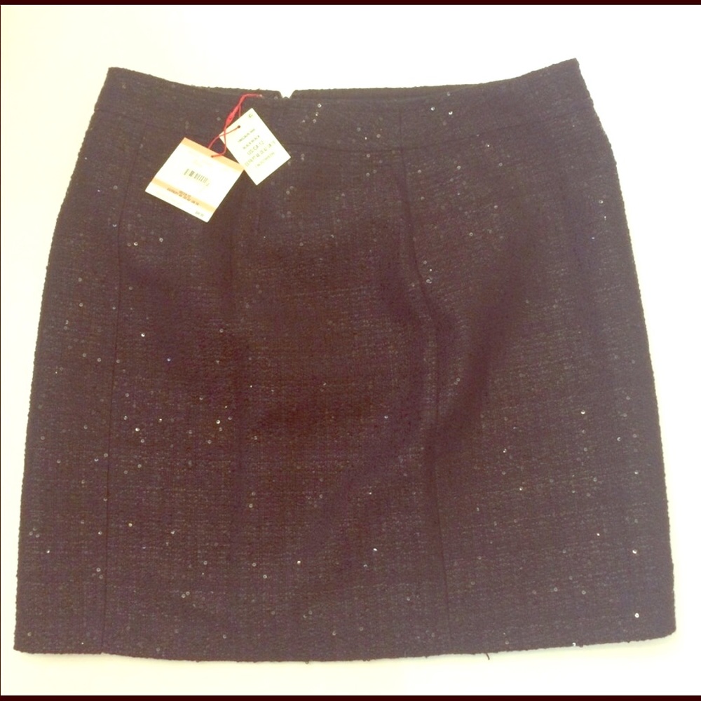 Anne Klein Sparkly Skirt, Size 12
